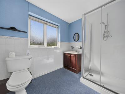 Picture 17